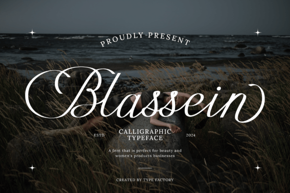 Blassein: The Elegant Script Font for Your Brand