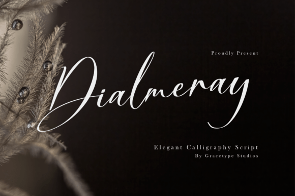 Dialmeray: A Premium Script Font for Elegant Web Design