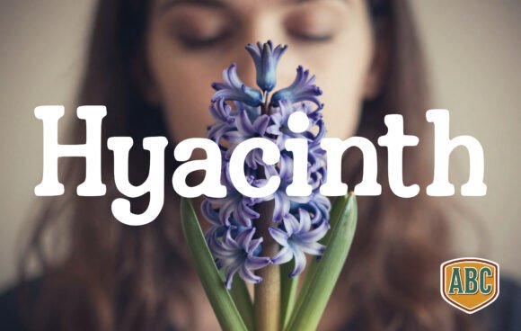 Hyacinth: A Timeless Handwritten Font for Crafters