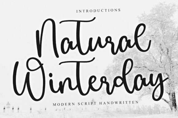 Natural Winterday: A Modern Script Font for Web Design